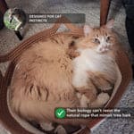 Cama/Rascador para Gatos NovaKit - NovaHub