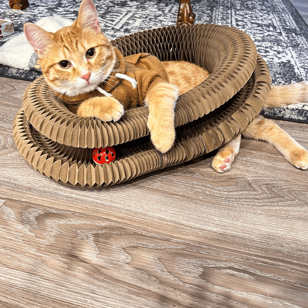 NovaKit Rascador interactivo 3 - en - 1 - NovaHub