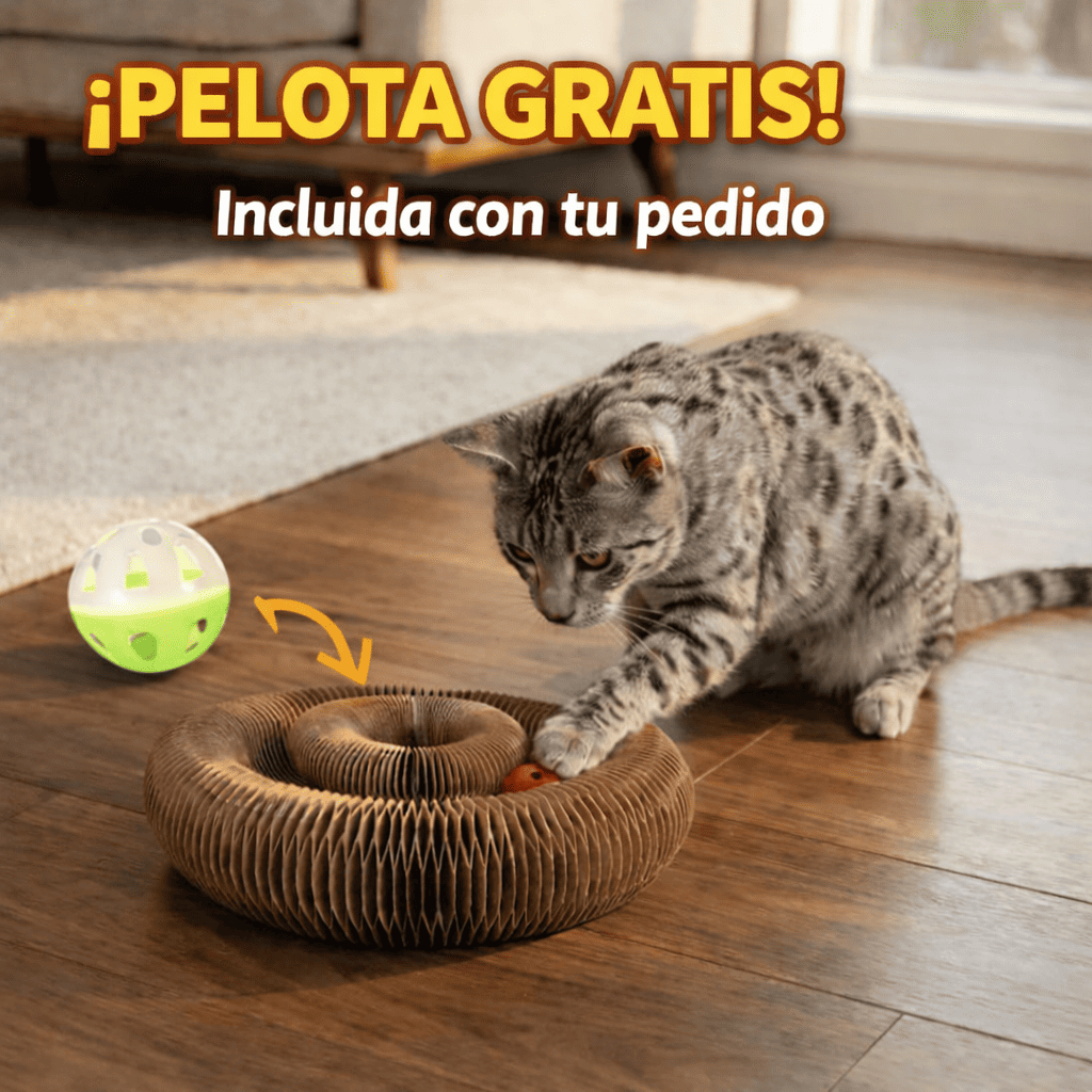 NovaKit Rascador interactivo 3 - en - 1 - NovaHub