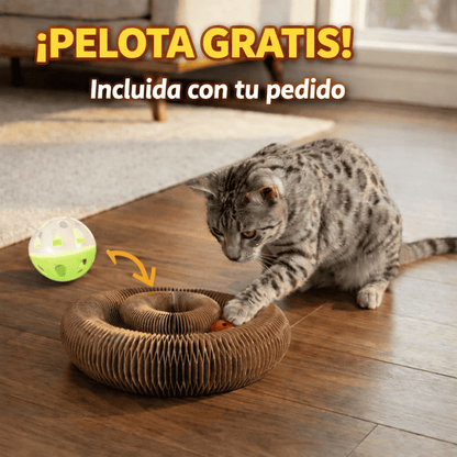 NovaKit Rascador interactivo 3 - en - 1 - NovaHub