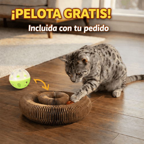 NovaKit Rascador interactivo 3 - en - 1 - NovaHub