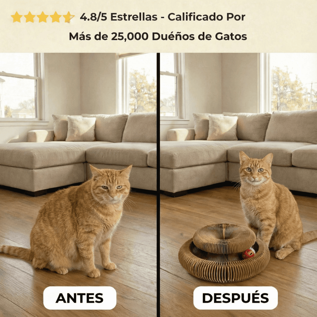 NovaKit Rascador interactivo 3 - en - 1 - NovaHub